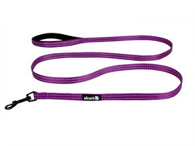 Alcott Adventure Leash