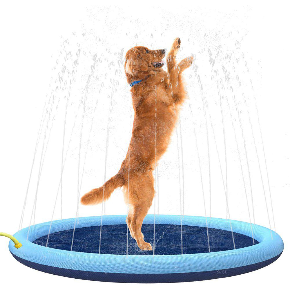 Dog Splash Pool