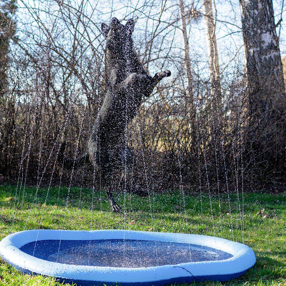 Dog Splash Pool