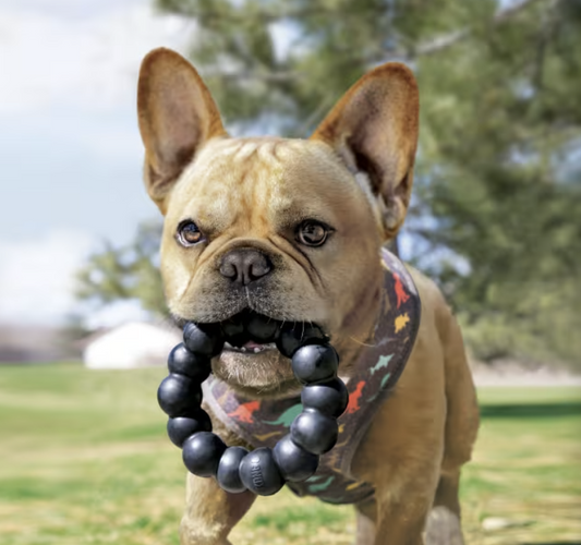 KONG Extreme Ring XL