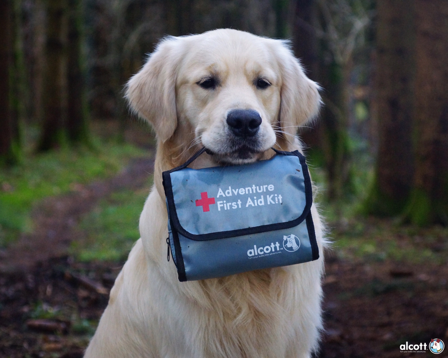 Førstehjelpssett til hund Premium