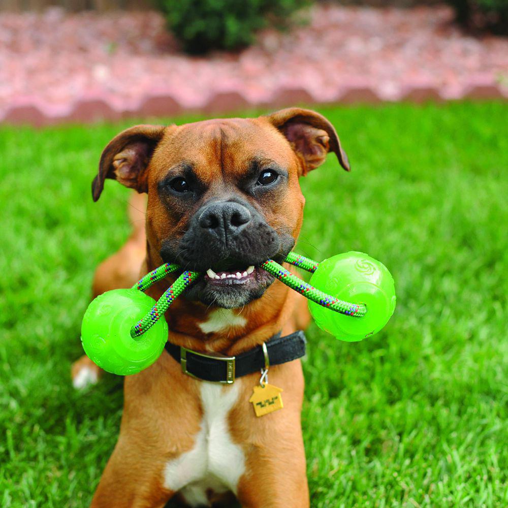 KONG Leke Squeezz Ball Rope L