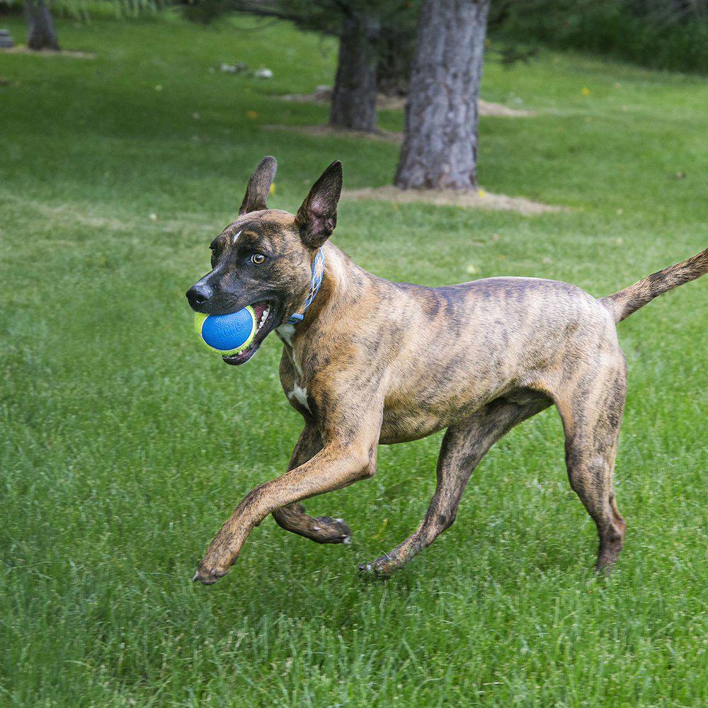 Kong Tennisball Ultra