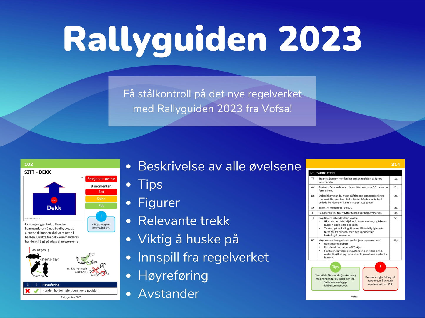 Rallyguiden