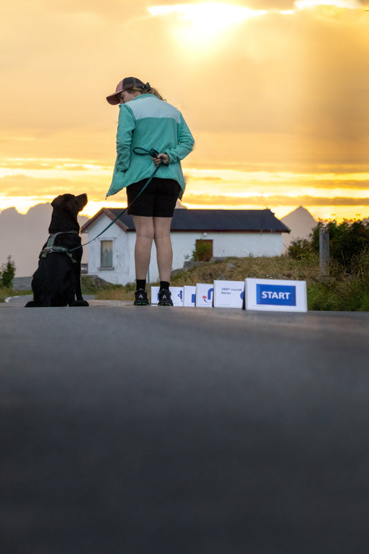 Ny i Rally - Hva trenger jeg?