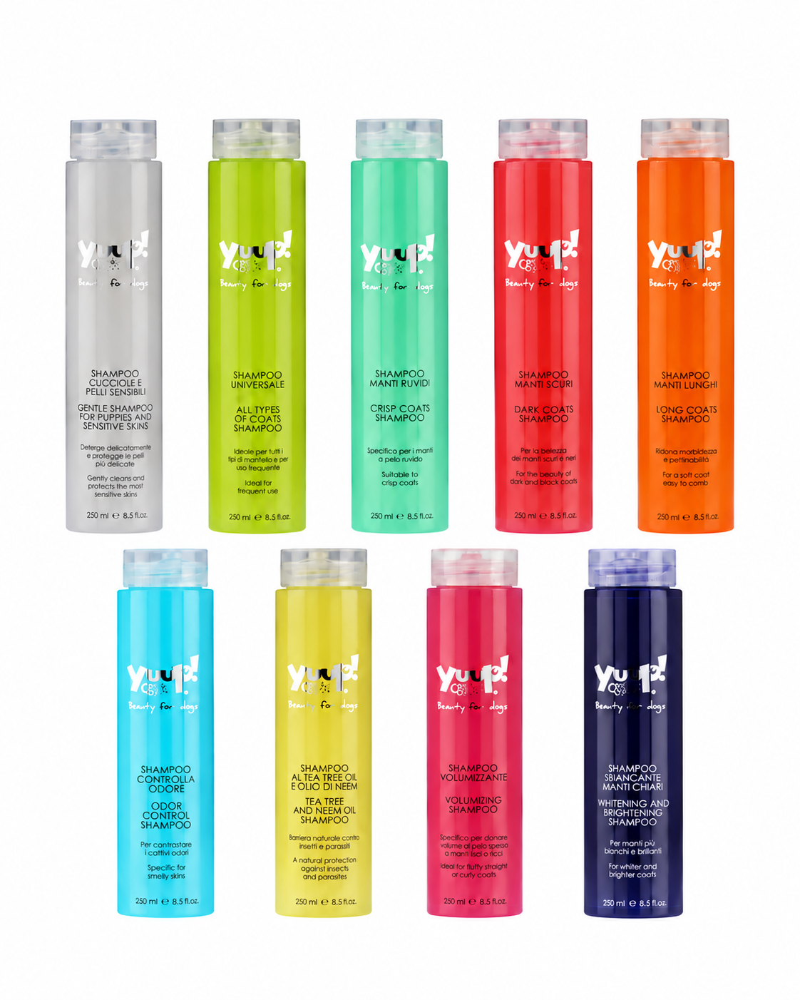 Shampoo