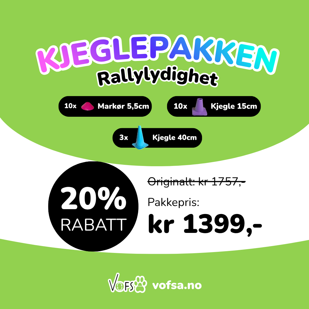 Kjeglepakken Rallylydighet