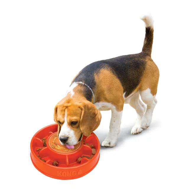 Kong Licks Mealtime L