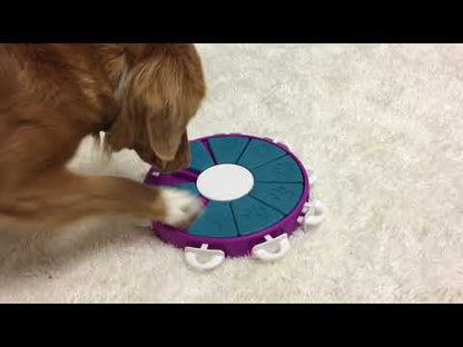 Nina Ottosson Dog Twister Puzzle