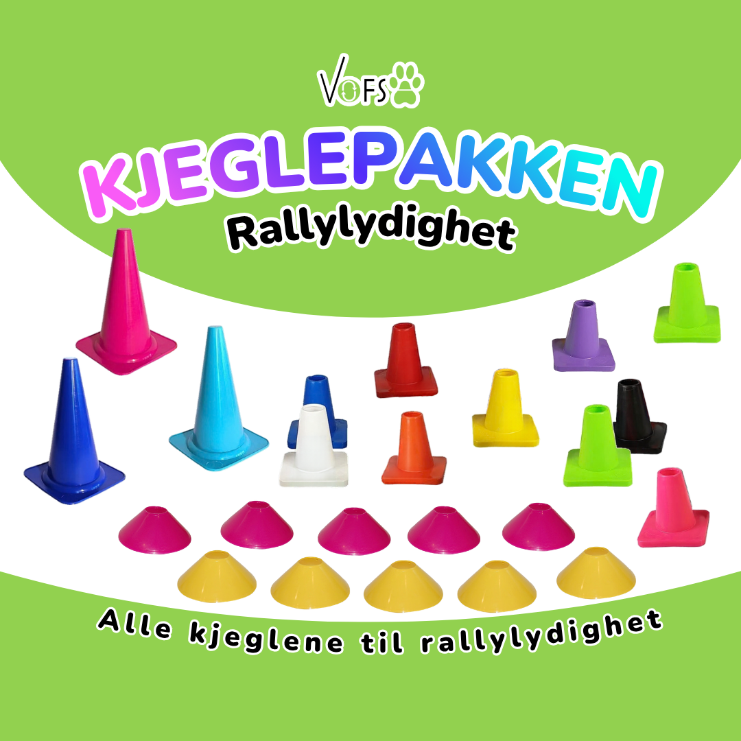 Kjeglepakken Rallylydighet