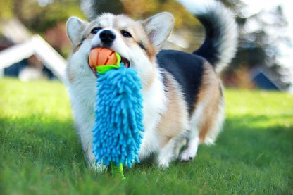 Dingo draleke med strikk, "mopp" og ball